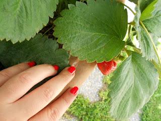 RED....like my strawberries!!