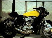 Sportster Ball