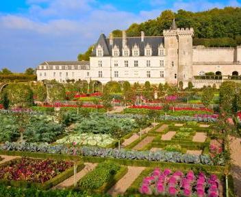 Castelli della Loira: Castello Villandry