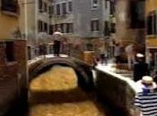 natura città spot realtà