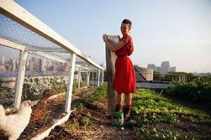 UNA FARM SU UN TETTO DI NEW YORK