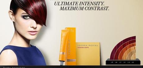 Igora Royal Fashion Lights: contrasto cromatico