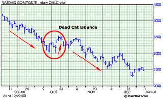 Dead Cat Bounce