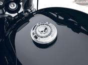 Harley-Davidson Accessori: nuova collezione Skull&amp;Chain; 2012