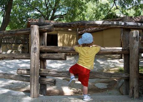 Al Bioparco di Roma