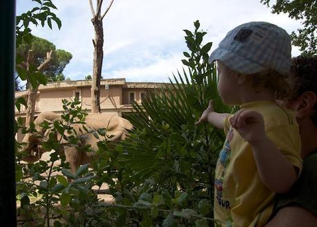 Al Bioparco di Roma