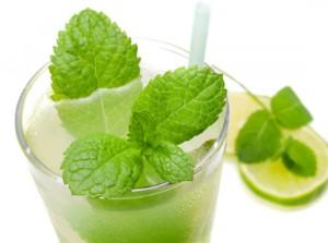 Come preparare il liquore alla menta