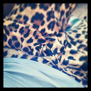 Inspire: Animalier