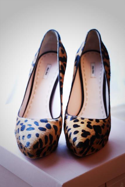 Inspire: Animalier