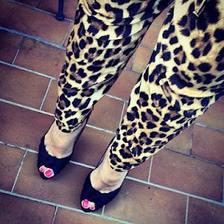 Inspire: Animalier