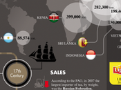 Storia benefici [infografica]