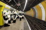 Panda nella metropolitana !