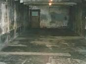 Riflessioni sulla storia