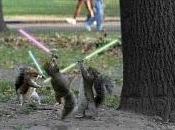 Animals with lightsabers