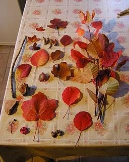 * COLORI, DECORI E TEXTURES D'AUTUNNO *