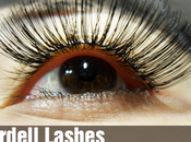 Ardell Lashes