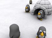 Penguins: Sfondi Wallpaper Gratis Android