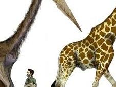 Pterosauri erano viaggiatori record