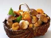 dieta funghi