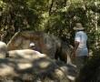 Cascate di Vernal e Nevada, incontro con l'ORSO - Yosemite National Park (California U.S.A.)