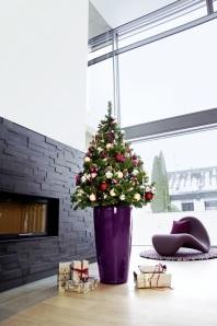 Alberi di Natale eco-chic con Diamante e Rondo Lechuza