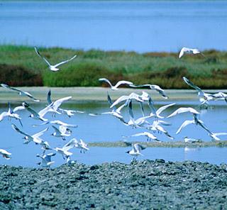 Alla scoperta della Biodiversità