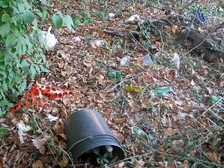 Fidenza: l'area abbandonata di via Porro