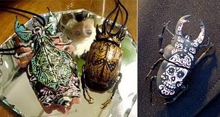Kukaini: insetti gioiello
