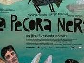 Pecora Nera: ASCANIO CELESTINI