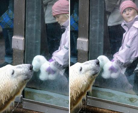 FOTO DEL GIORNO 24 OTTOBRE 2010 : GIOCHI NELL'ACQUA PER L'ORSO KNUT