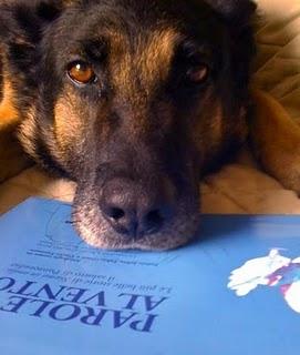 Le parole della radio volano a Invorio