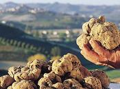 Notte bianca Alba “Welcome Truffle”