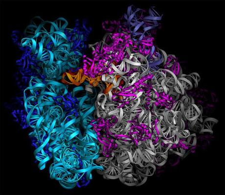 Previsioni per il nobel per la chimica?