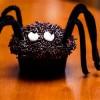 Halloween Spider Cupcakes