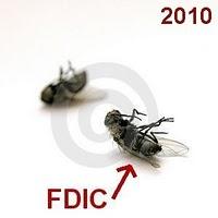 Anno 2010: Come le mosche...(e siamo a 139)
