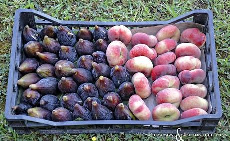 Fruttini: la frutta con il gelato dentro  - Fruttini: the fruit with ice cream inside