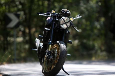 Triumph Sprint Special