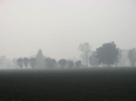 PARMA (EMILIA ROMAGNA)