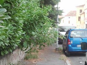 2012-07-27 Degrado a Soresina, gli episodi si moltiplicano mentre il ruolo del Comune si auto-azzera