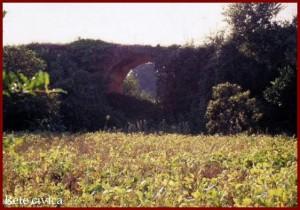 Perchè fermarsi a Sessa Aurunca Archeologia natura e ottima cucina