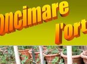 Concimare l’orto. Tutto e-book gratuito