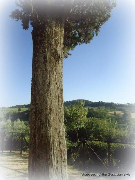 Toscana in Love