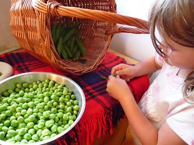 Piccolo orto, piccoli raccolti