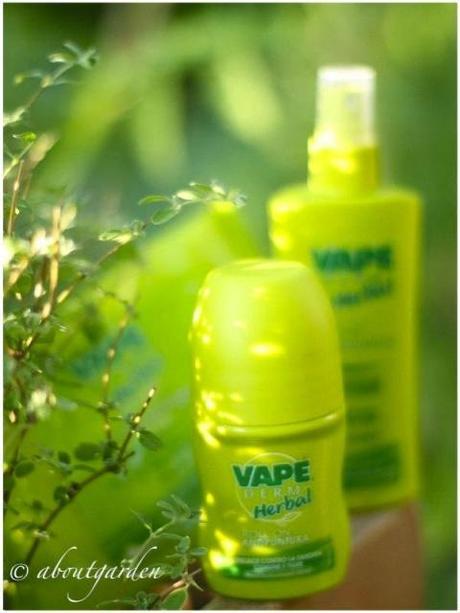 Vape herbal zanzare nell’orto