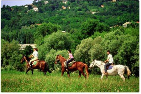 Un agriturismo con maneggio e sei a cavallo!