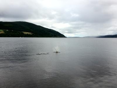 Diario 5 loch ness e fort george