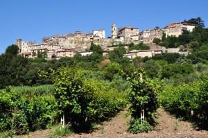 Castiglione in Teverina: dal primo di agosto Festa del Vino dei Colli del Tevere