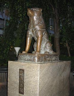 Hachiko