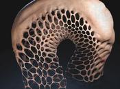 Patterns architettonici organici progetto "abhominal" jason hopkins