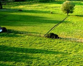 Stop alle costruzioni selvagge